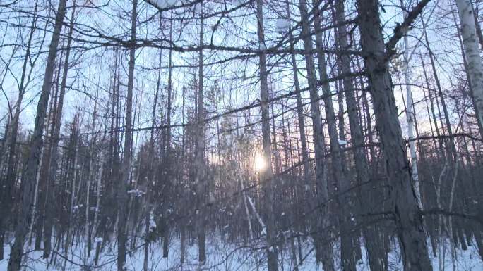 阳光下的雪