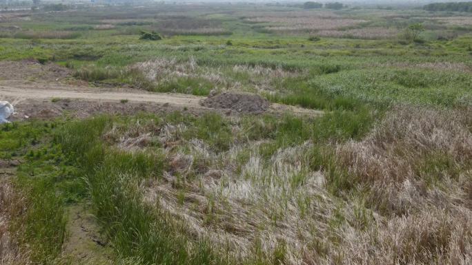 长征草地荒草地沼泽地航拍