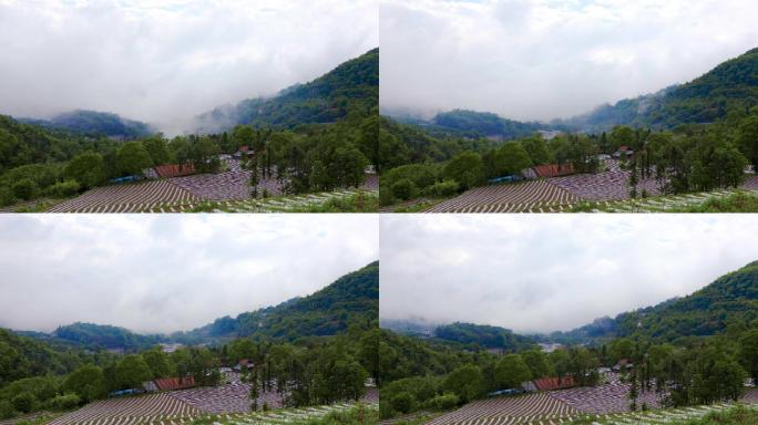 云雾缭绕的大山里