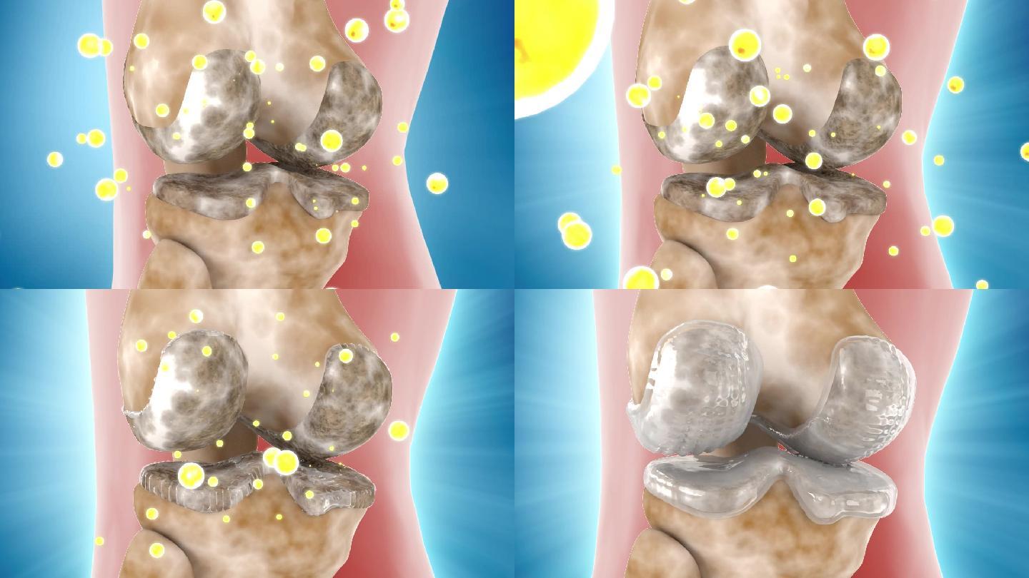 氨糖滋生骨骼营养素变化