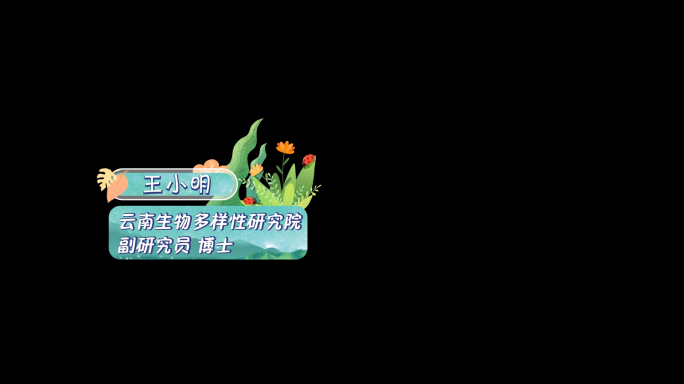 生物多样性人名条字幕条ae模板