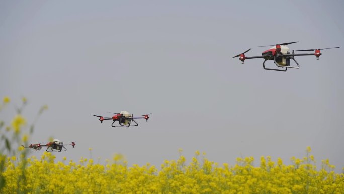 无人机 喷洒 农药 多架 飞机
