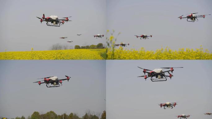 无人机 喷洒 农药 多架 飞机