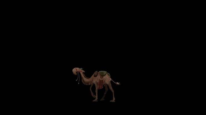 写实动画骆驼向前走骆驼走带通道沙漠骆驼