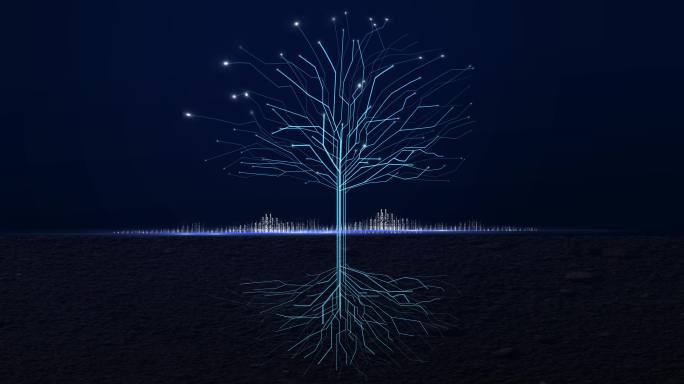 线条科技树生长动画