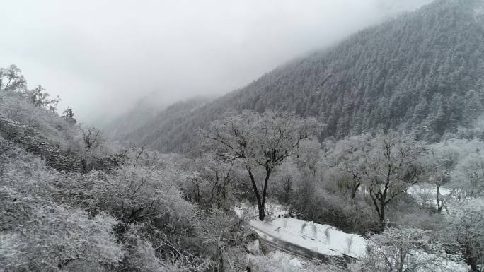 汶川阿尔沟唯美雪景合集