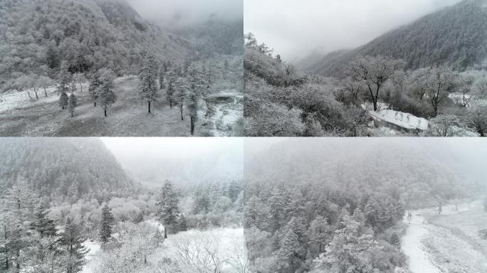 汶川阿尔沟唯美雪景合集