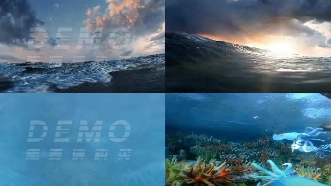 《超清》海洋海底鱼群海底风景