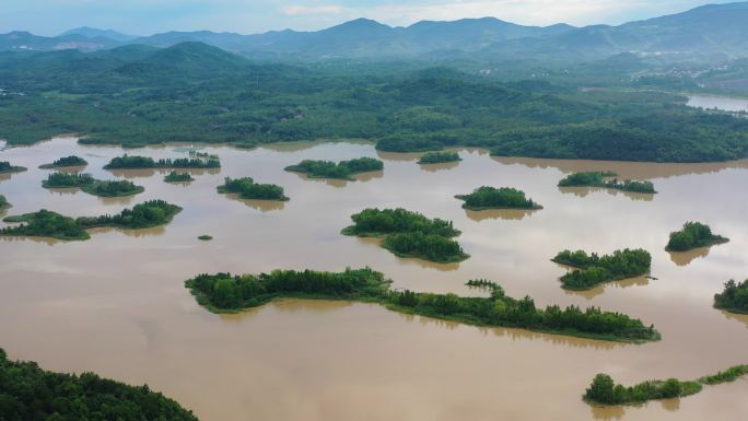 台风过后的天目湖国家湿地公园