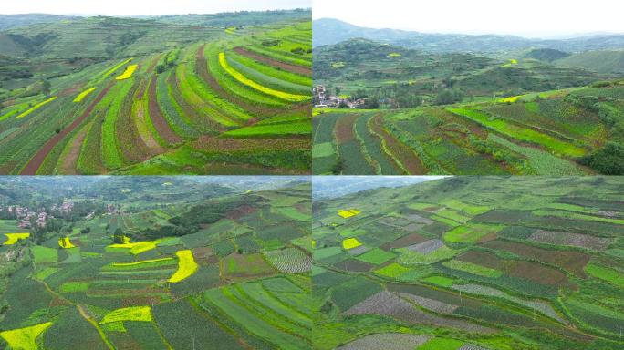 山区农田航拍