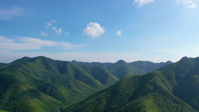 台风后的溧阳南山竹海