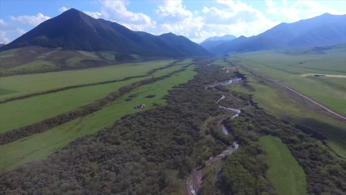 【原创】石羊河 祁连山 草原 牧羊 河流