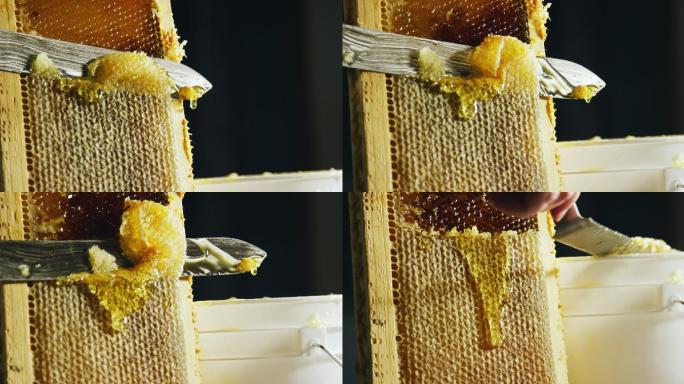 用小刀切开蜂巢，把蜂蜡刮到桶里