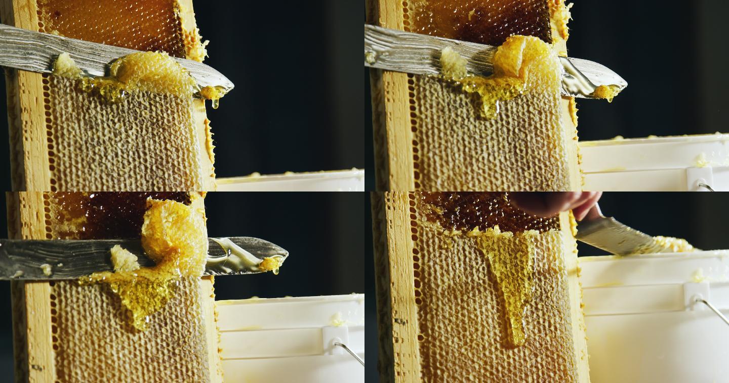 用小刀切开蜂巢，把蜂蜡刮到桶里
