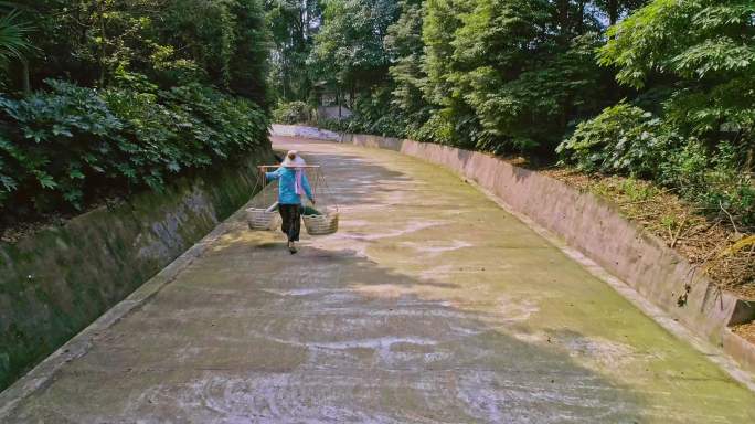 农民挑担子走在林荫道路上