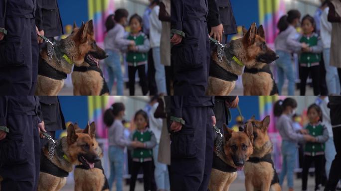 警犬站岗