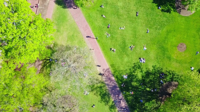 在北卡罗来纳大学草地上学习的学生。