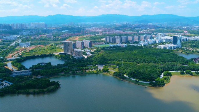 城市绿化湖泊湿地航拍