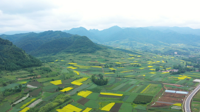 西北山区中药材种植基地