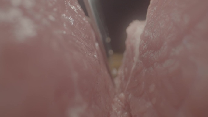 牛肉/loge模式电影机原素材/卤牛肉