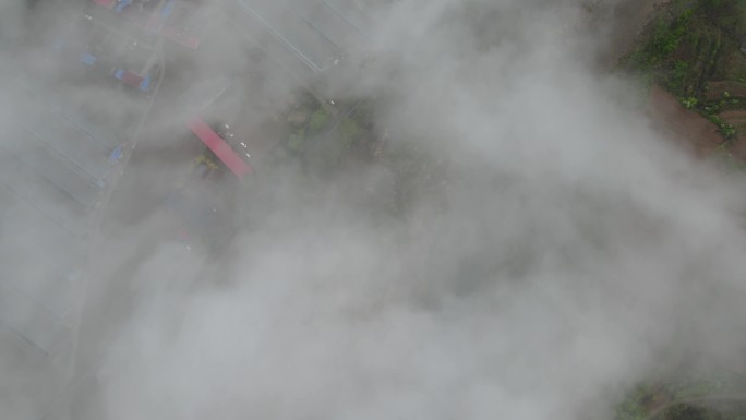 乡村的云雾 白气 雨后清晨