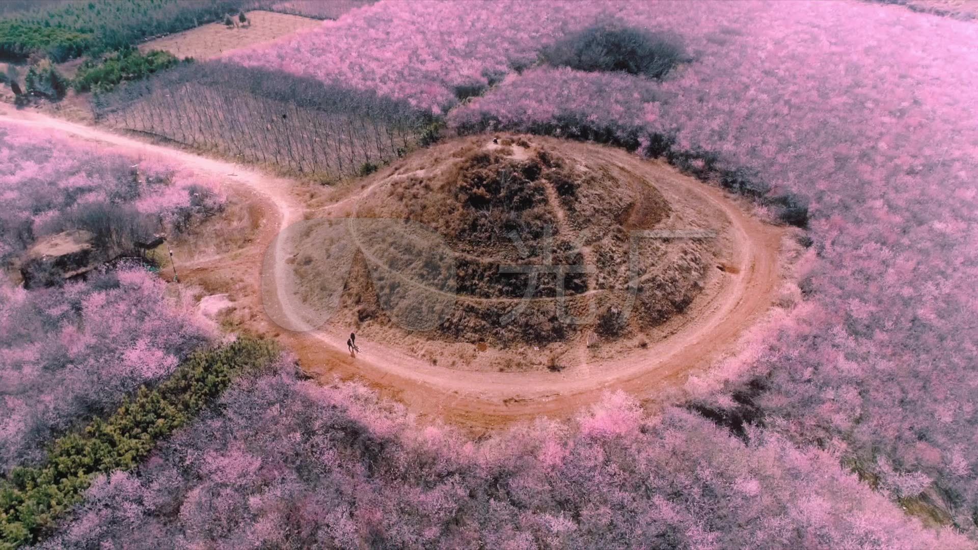 “2023石首桃花山旅游季”活动正式启动！-荆楚网-湖北日报网