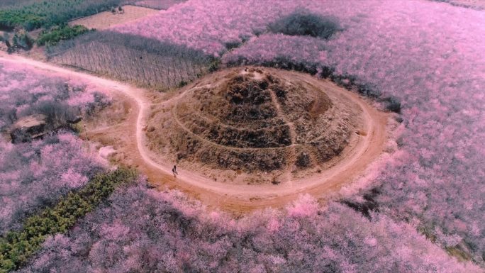 航拍西安明秦王墓山桃花海