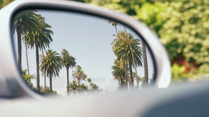 开车穿过加利福尼亚棕榈树林荫大道