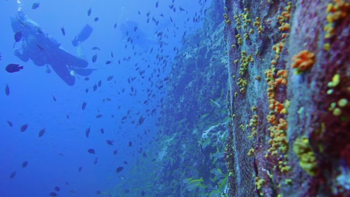 水下潜水员和废弃渔网污染海洋的图像