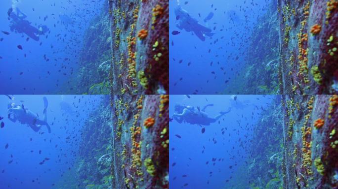 水下潜水员和废弃渔网污染海洋的图像