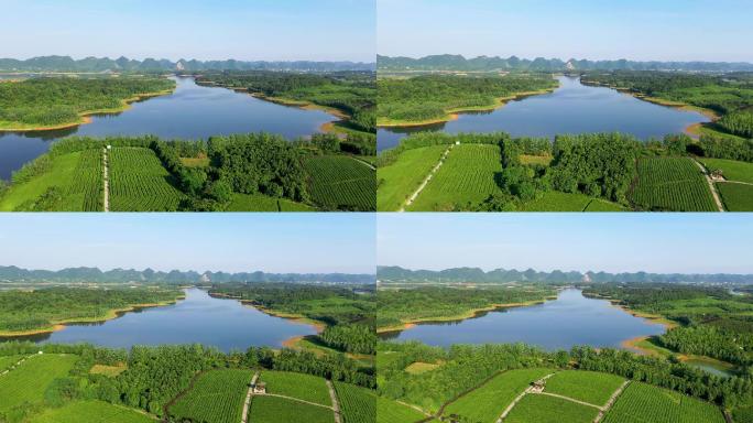 4K航拍绿色生态湖泊