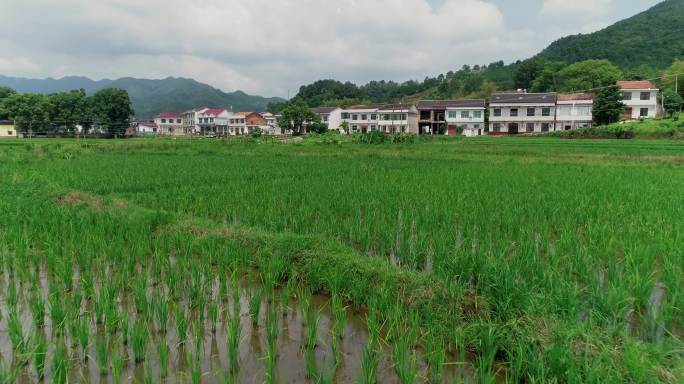 4K航拍湖南浏阳乡村田园06