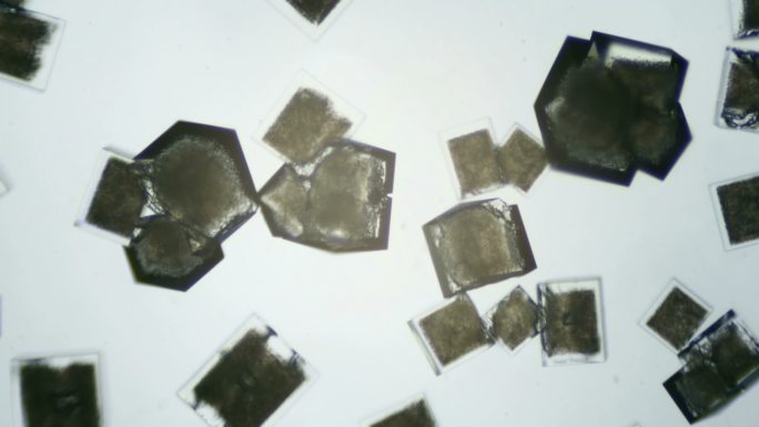 盐在显微镜下结晶食用盐固态化咸盐
