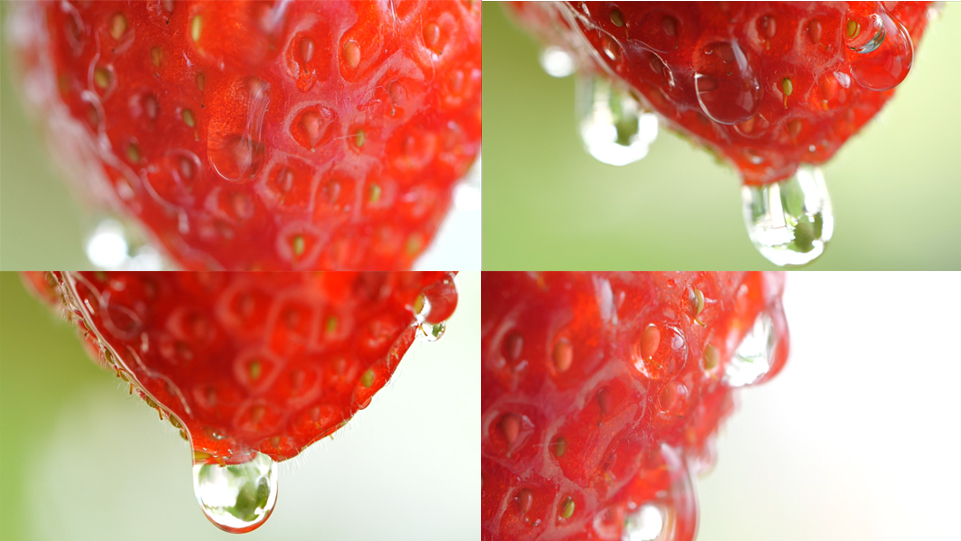 草莓 2