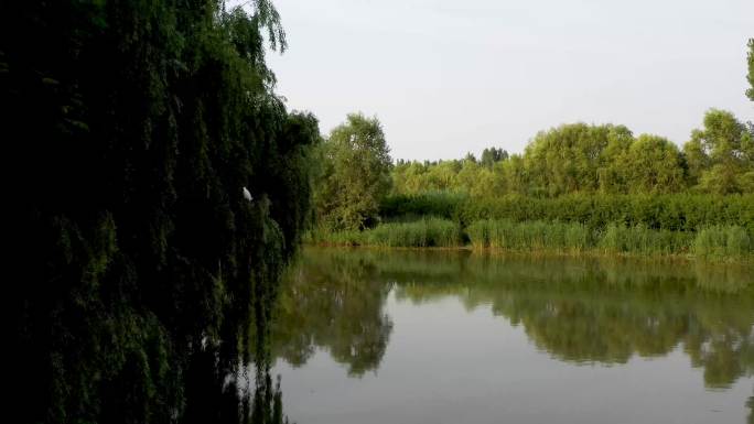 浐灞湿地公园