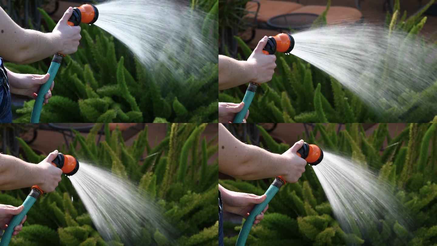 女子在花园里浇水喷水园林浇灌