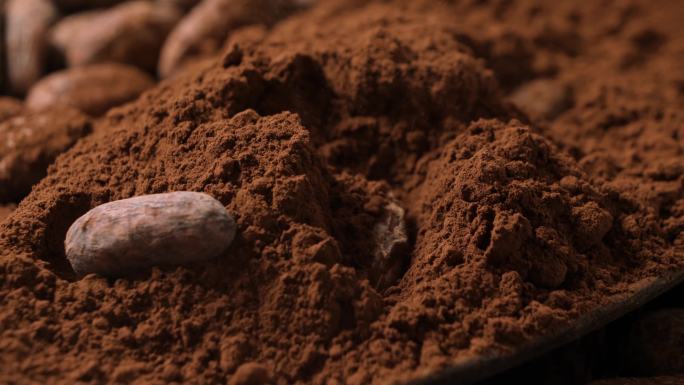 掉入巧克力粉里的可可豆