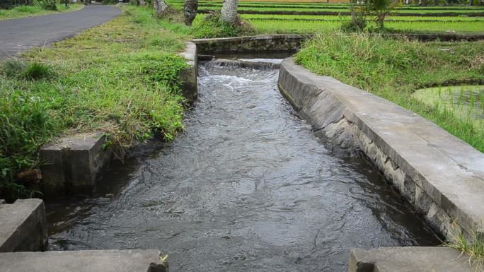 灌溉渠水渠农村浇地