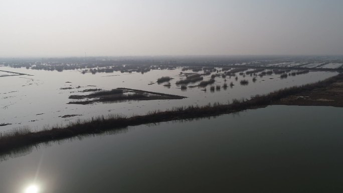 实拍洪湖沼泽地貌