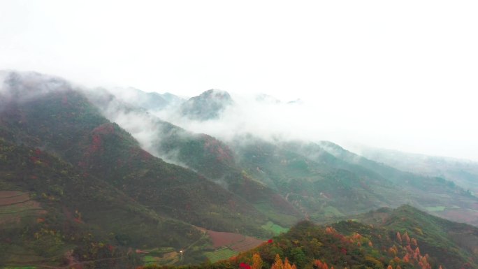 陇南成县鸡峰山秋景航拍S