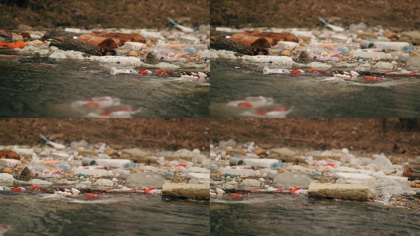 垃圾漂浮在岸边的水中。