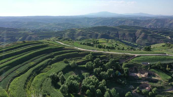 群山山田