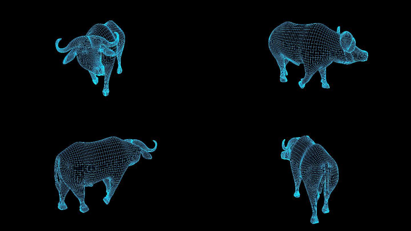 蓝色全息科技线框非洲野牛动画带通道