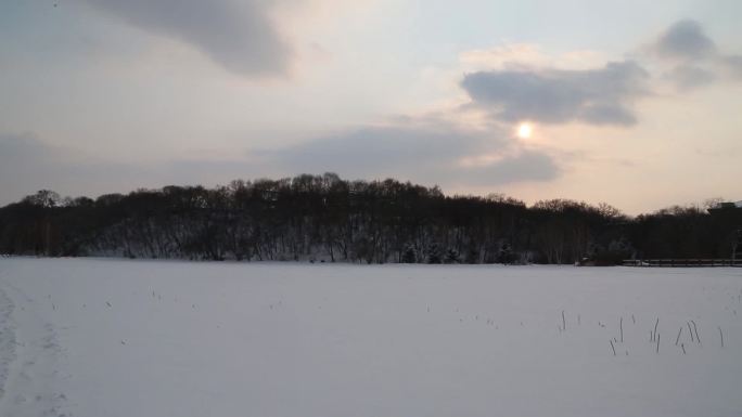 冬天雪地树林脚印