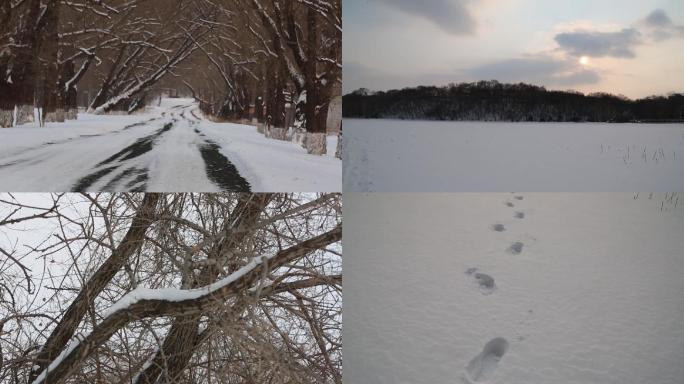 冬天雪地树林脚印