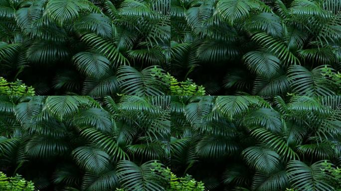热带雨林绿色植物植被原始森林树林