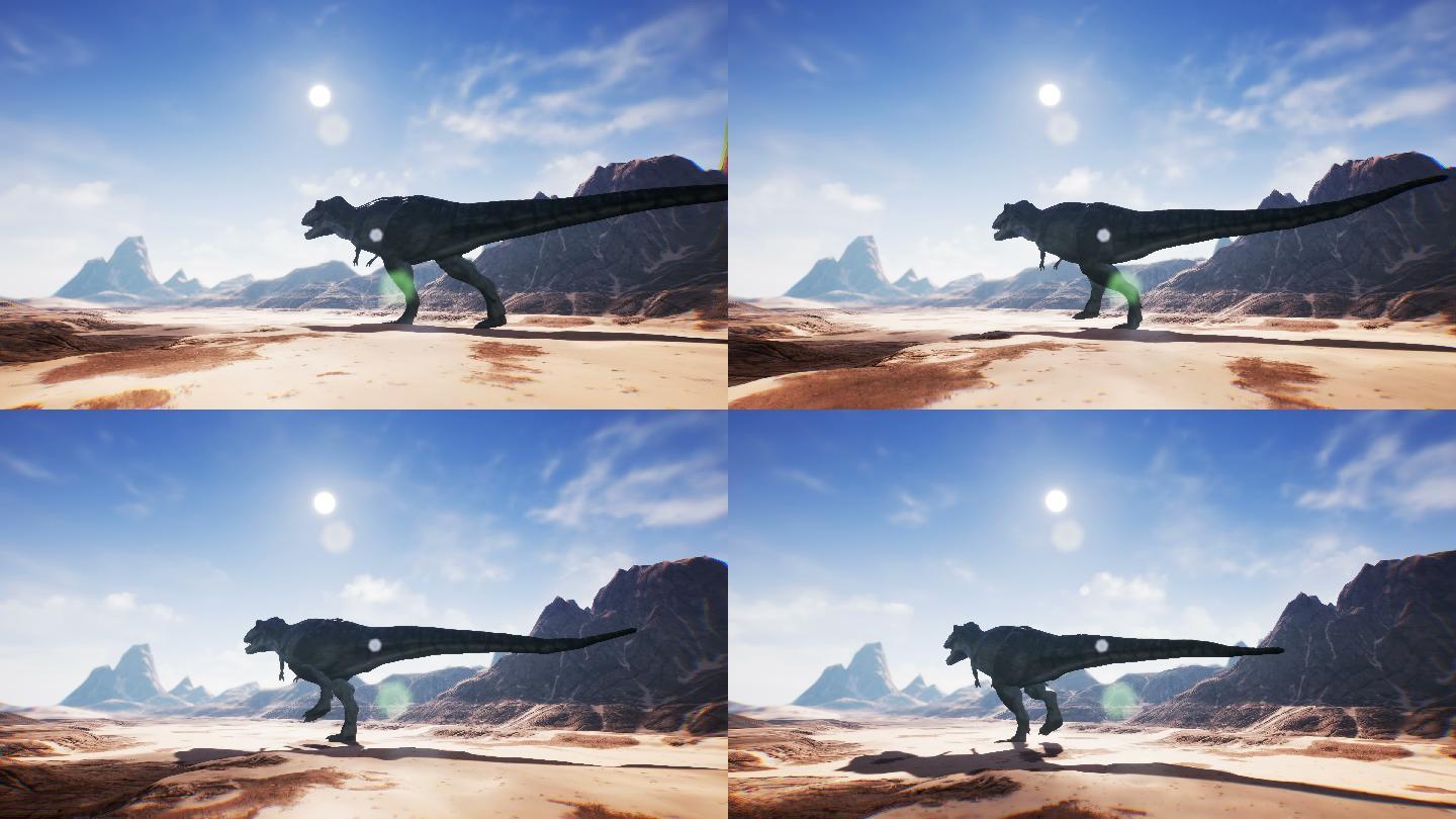 沙漠中的霸王龙恐龙动画。