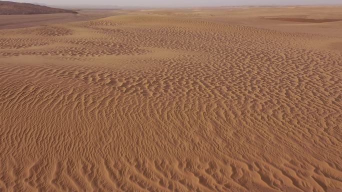 沙漠风沙防沙治沙 环境治理抗旱