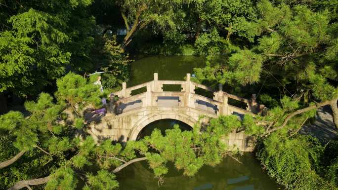 上海醉白池公园4K航拍