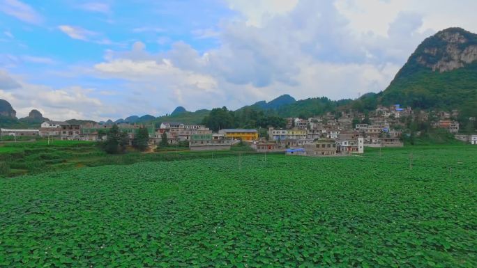 贵州朴实农村生态山水荷花风光